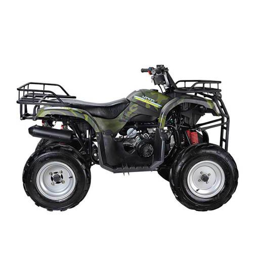 Купить квадроцикл WELS ATV Purga 170 Квадроцикл WELS ATV Purga 170