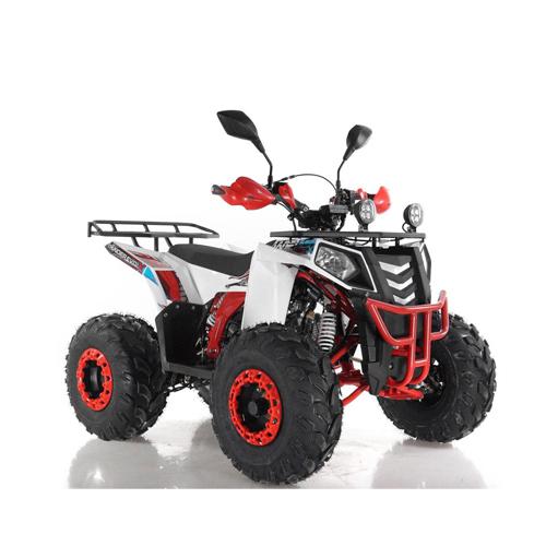 Купить квадроцикл WELS EVO ST 125cc Квадроцикл WELS EVO ST 125cc