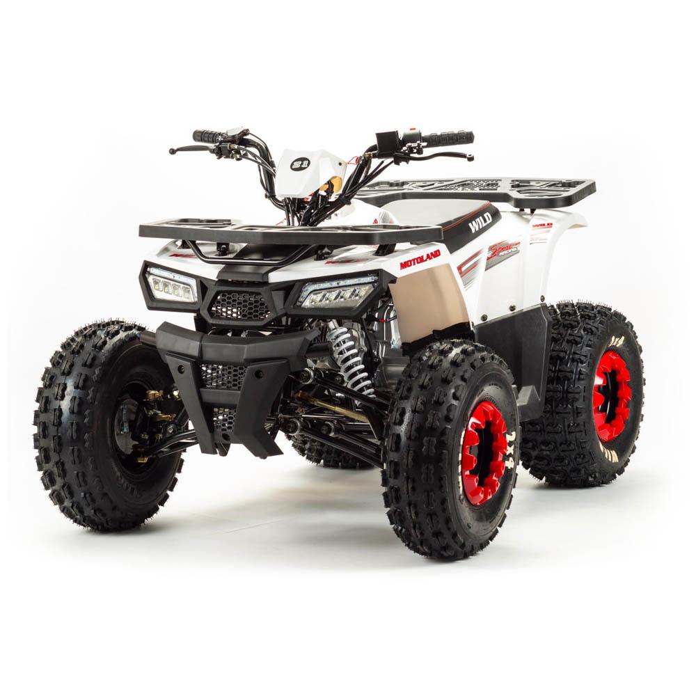 Купить квадроцикл MOTOLAND WILD 125сс Квадроцикл MOTOLAND WILD 125сс