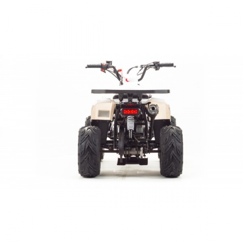 Квадроцикл MMG ATV MudHawk 110cc